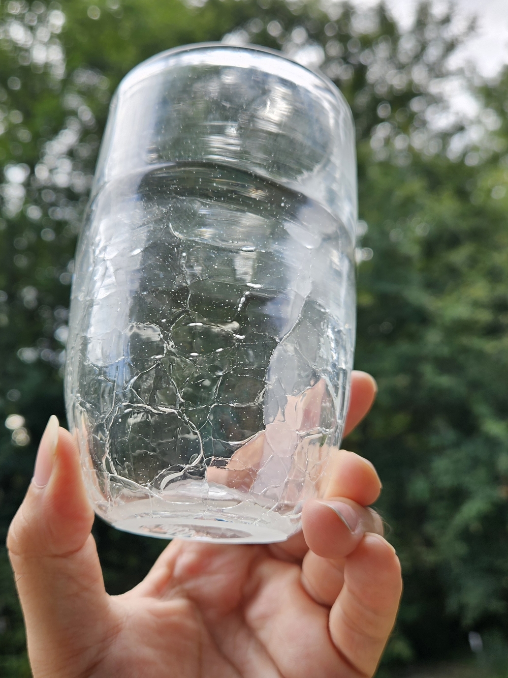 Signed Art Glass Tumbler or Vase Clear Cases Crackle Glass 5 Inches Tall Vintage